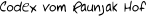 Codex vom Raunjak Hof