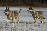 12.2007 Inka & Alina